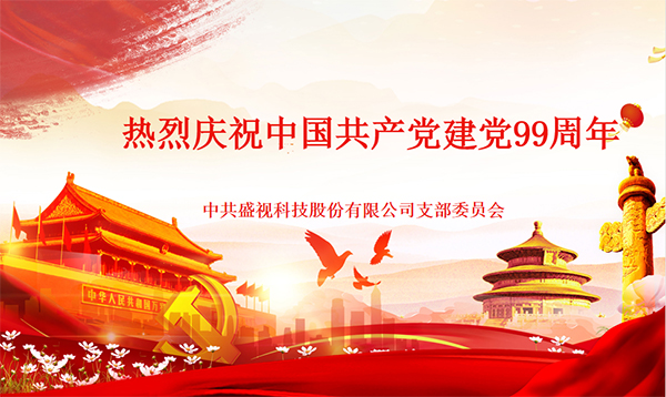 盛视党建动态|乐竞(中国)lejing·官方网页版,党组织开展庆祝建党99周年主题党日活动